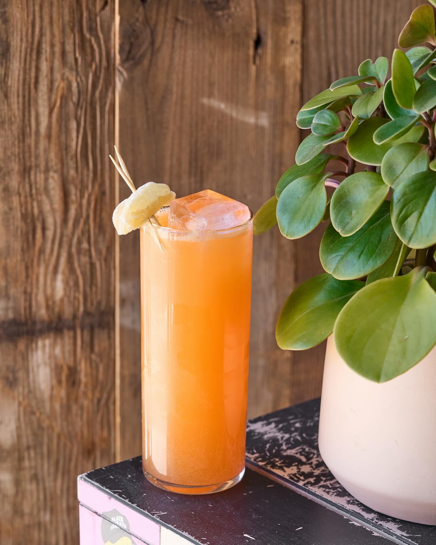 @adventuresintiki wore a sick @tikiti1961 jacket to HLAY last night &mdash; and one of his pins looked like our Muy Mindful cocktail! ty for gathering everyone @_jakemonaghan ✨🍹✨
Domingo Guerrero Papalote Mezcal, Hibiscus Aperitif, carrot, ginger, 